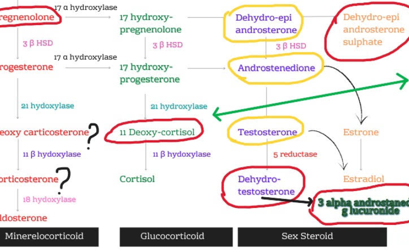 Ekran görüntüsü 2025-12-22 040947