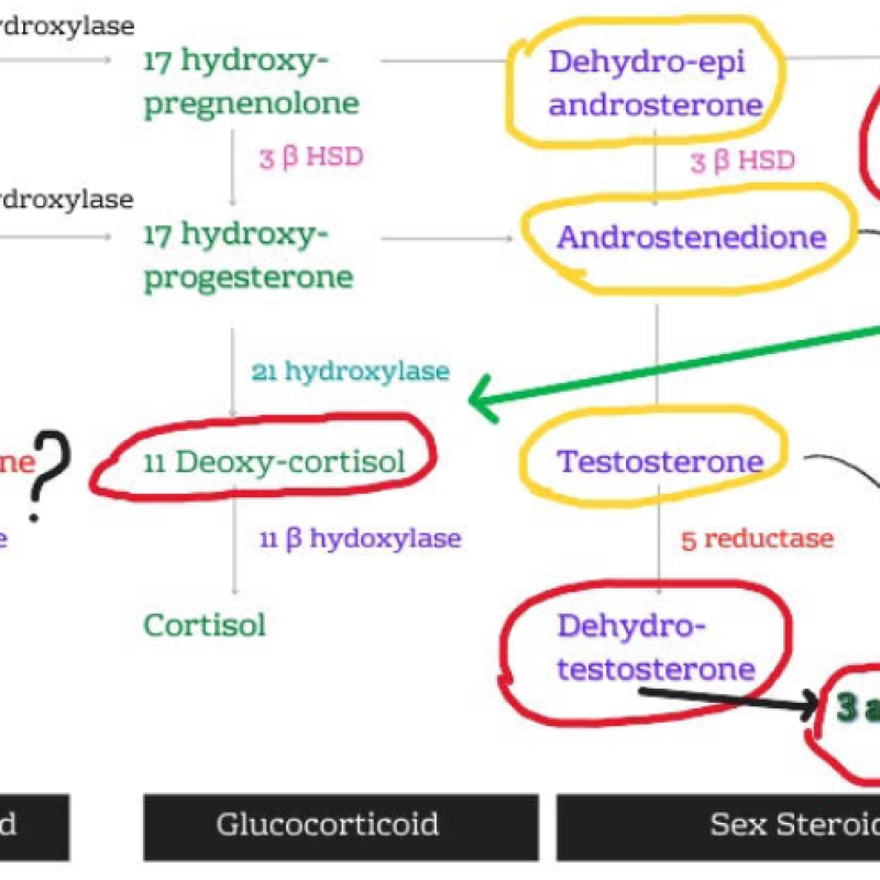 Ekran görüntüsü 2025-12-22 040947